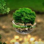 Certificación Ecológica de la Unión Europea (UE): Reconocimiento de productos ecológicos que cumplen con los estándares de la Unión Europea