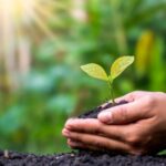 Consejo Regulador de Agricultura Ecológica de la Región de Murcia (CRAE): Certificación para productos agrícolas y alimentos en la región de Murcia