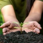 Agricultura Ecológica en Cataluña (CCPAE): Certificación para productos agrícolas y alimentos en la región de Cataluña