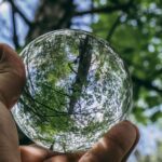 Todo lo que necesitas saber sobre GlobalG.A.P. y su impacto en la agricultura sostenible