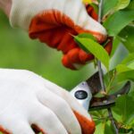 GreenGuard: Certificación para productos y materiales de construcción con bajos niveles de emisiones químicas