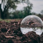 Ecolabel (Etiqueta Ecológica de la UE): Certificación para productos y servicios con un bajo impacto ambiental en toda la Unión Europea