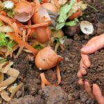Certificación LIFE: Certificación de la Unión Europea para proyectos que promueven la sostenibilidad y la conservación del medio ambiente