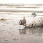Zero Waste Certification: Certificación para empresas y organizaciones comprometidas con la reducción de residuos